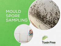 Black mould testing in New Zealand
