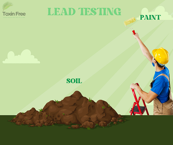 Lead check testing